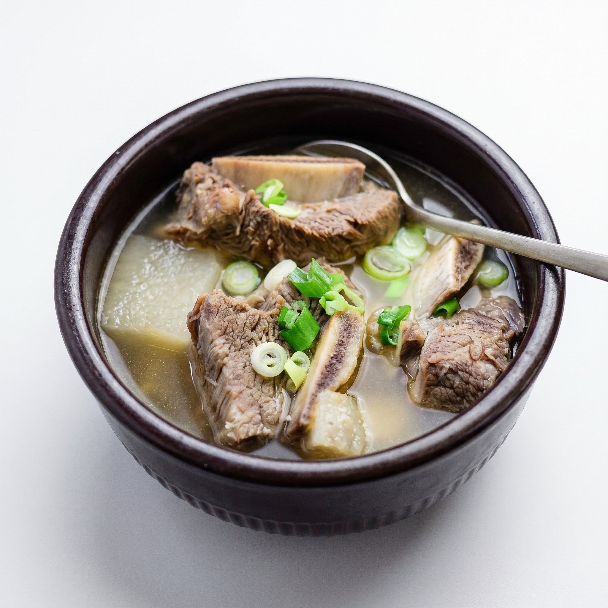 Galbee Tang (Short Rib Soup).